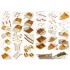 1/200 USS CV-6 Enterprise 1942 Detail up set (20B Deck Blue) 1/200 USS CV-6 Enterprise 1942 Detail up set (20B Deck Blue)
