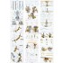 1/350 USS DDG-92 Momsen Flight IIa Detail-up Set for Trumpeter #04527 1/350 USS DDG-92 Momsen Flight IIa Detail-up Set for Trumpeter #04527