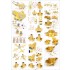 1/350 Admiral Graf Spee Detail up set for Trumpeter kits 1/350 Admiral Graf Spee Detail up set for Trumpeter kits