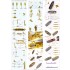 1/350 USS Missouri Circa 1991 Detail Up Sets Advanced 1/350 USS Missouri Circa 1991 Detail Up Sets Advanced