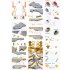 1/350 USS Missouri Circa 1991 Detail Up Sets Advanced 1/350 USS Missouri Circa 1991 Detail Up Sets Advanced