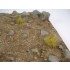 1/35 The Desert 1/35 The Desert