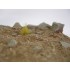 1/35 The Desert 1/35 The Desert