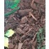 Jungle Forest Floor - 125ml Super Detailed Scenic Scatter Jungle Forest Floor - 125ml Super Detailed Scenic Scatter