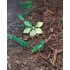 Jungle Forest Floor - 125ml Super Detailed Scenic Scatter Jungle Forest Floor - 125ml Super Detailed Scenic Scatter