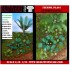 1/48 - 1/35 Jungle Plants Vol.1 (4 different plants) 1/48 - 1/35 Jungle Plants Vol.1 (4 different plants)