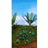 1/48 - 1/35 Jungle Plants Vol.1 (4 different plants) 1/48 - 1/35 Jungle Plants Vol.1 (4 different plants)