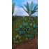 1/48 - 1/35 Jungle Plants Vol.1 (4 different plants) 1/48 - 1/35 Jungle Plants Vol.1 (4 different plants)