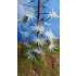 1/48 - 1/35 Jungle Tree Vol.1 1/48 - 1/35 Jungle Tree Vol.1