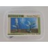 1/48 - 1/35 Banana Trees (2pcs) 1/48 - 1/35 Banana Trees (2pcs)