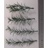 Plastic Plants - Small Weeds Dark Green Plastic Plants - Small Weeds Dark Green