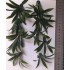 Plastic Plants - Large Desert Plant Plastic Plants - Large Desert Plant
