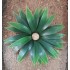 Plastic Plants - Large Desert Plant Plastic Plants - Large Desert Plant