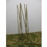 Bamboo set 1 - Natural Bamboo, Medium Green (L: 15cm; 50pcs) Bamboo set 1 - Natural Bamboo, Medium Green (L: 15cm; 50pcs)