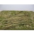 Bamboo set 1 - Natural Bamboo, Medium Green (L: 15cm; 50pcs) Bamboo set 1 - Natural Bamboo, Medium Green (L: 15cm; 50pcs)