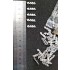 1/35 WWII German Tiger Late Production Metal Tracks w/Double Pins 1/35 WWII German Tiger Late Production Metal Tracks w/Double Pins