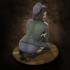 1/35 German Pin-up Officer 1/35 German Pin-up Officer