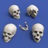 90mm Scale Skulls (4pcs) 90mm Scale Skulls (4pcs)