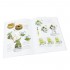 Easy Painting Processes II (English) Easy Painting Processes II (English)