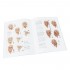 Easy Painting Processes II (English) Easy Painting Processes II (English)