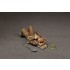 1/35 British Infantryman at Rest 1/35 British Infantryman at Rest