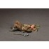1/35 British Infantryman at Rest 1/35 British Infantryman at Rest