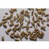 1/12 2.60mm Electronic Connectors (Brass Type)(10pcs) 1/12 2.60mm Electronic Connectors (Brass Type)(10pcs)