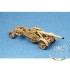1/35 German 21cm Morser 18 1/35 German 21cm Morser 18