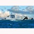 1/700 PLA Navy Type 072A LST 1/700 PLA Navy Type 072A LST