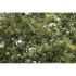 Ground Cover - Fine-Leaf Foliage #Olive Green (coverage area = 75 in3 / 1220 cm3) Ground Cover - Fine-Leaf Foliage #Olive Green (coverage area = 75 in3 / 1220 cm3)
