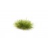 The Field System - Medium Green Grass Tufts (21pcs) The Field System - Medium Green Grass Tufts (21pcs)