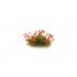 The Field System - Red Flowering Tufts (21pcs) The Field System - Red Flowering Tufts (21pcs)