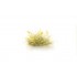 The Field System - Yellow Seeding Tufts (21pcs) The Field System - Yellow Seeding Tufts (21pcs)