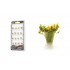 The Field System - Light Green Prairie Grass (20pcs) The Field System - Light Green Prairie Grass (20pcs)