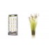 The Field System - Brown Tipped Prairie Grass (20pcs) The Field System - Brown Tipped Prairie Grass (20pcs)