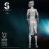 75mm Scale Sexy Secret Service Cheongsam Girl #13 75mm Scale Sexy Secret Service Cheongsam Girl #13