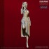 75mm Scale Miss China Cheongsam Girl w/Pistol 75mm Scale Miss China Cheongsam Girl w/Pistol
