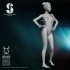 75mm Scale Sexy Secret Service Girl #12 75mm Scale Sexy Secret Service Girl #12