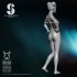 75mm Scale Sexy Secret Service Girl #12 75mm Scale Sexy Secret Service Girl #12