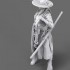 1/12 Korean Knight (Kukunbok Jangsoo) 1/12 Korean Knight (Kukunbok Jangsoo)