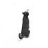 1/24 Cats Set (6 resin cats) 1/24 Cats Set (6 resin cats)