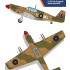 1/48 USAAF P-51 Mustang "North Africa"