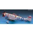 1/72 Republic P-47D Thunderbolt Bubbletop