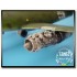 1/48 Messerschmitt Me-262A Schwalbe Engine Set for Tamiya kit
