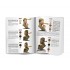 Acrylic 3GEN Paints with Bust - Sun and Shade Tone Collection By Kirill Kanaev