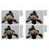 Scale Modelling Manual Vol.12 Painting A Complicated Fantasy Bust (32 pages)