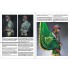 Scale Model Handbook: Theme Collection Vol.12 - All Mediums Miniature Bust Art