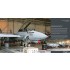 Aircraft in Detail: Grumman F-14 Tomcat (220 pages, English) [Duke Hawkins]