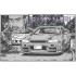 1/24 Hosino Kozo BNR34 Skyline GT-R