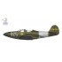 1/72 P-39 Airacobra Reconnaissance
